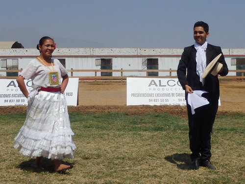 Peruvian Step Horse Show.